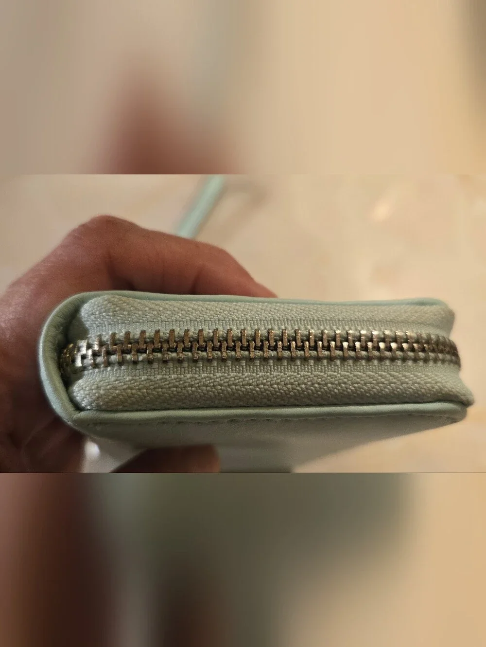 GUC! Aimee Kestenberg Dixon Leather Zip Around Wristlet Wallet – Mint Green